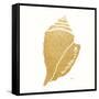 Decorative Shell II-Janet Tava-Framed Stretched Canvas