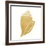 Decorative Shell II-Janet Tava-Framed Art Print