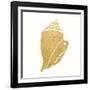 Decorative Shell II-Janet Tava-Framed Art Print