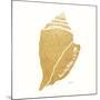 Decorative Shell II-Janet Tava-Mounted Art Print