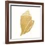 Decorative Shell II-Janet Tava-Framed Art Print