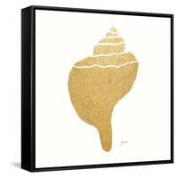 Decorative Shell III-Janet Tava-Framed Stretched Canvas