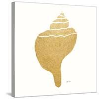Decorative Shell III-Janet Tava-Stretched Canvas