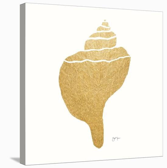 Decorative Shell III-Janet Tava-Stretched Canvas