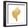 Decorative Shell III-Janet Tava-Framed Art Print