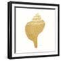 Decorative Shell III-Janet Tava-Framed Art Print