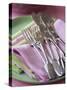 Decorative Silver Forks and Fish Knives on Fabric Napkins-Michael Paul-Stretched Canvas