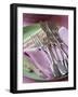 Decorative Silver Forks and Fish Knives on Fabric Napkins-Michael Paul-Framed Photographic Print