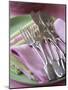 Decorative Silver Forks and Fish Knives on Fabric Napkins-Michael Paul-Mounted Photographic Print