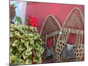 Decorative Snow Shoes in Talkeetna, Alaska, USA-Julie Eggers-Mounted Photographic Print