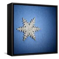 Decorative Snowflake-Sean Justice-Framed Stretched Canvas