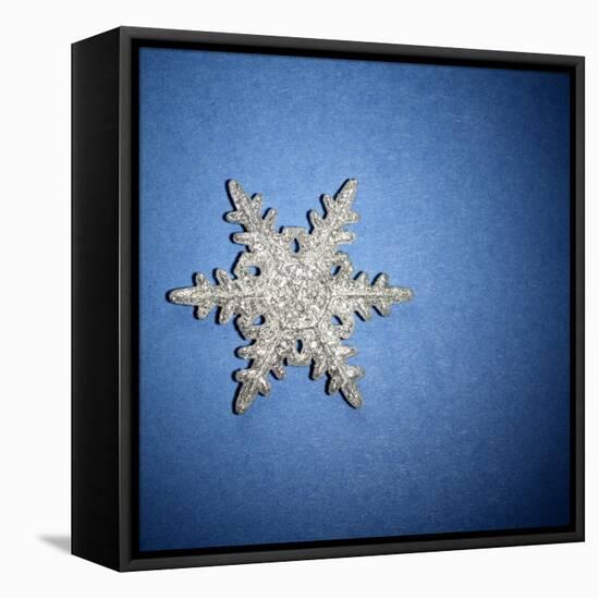 Decorative Snowflake-Sean Justice-Framed Stretched Canvas