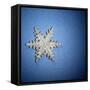 Decorative Snowflake-Sean Justice-Framed Stretched Canvas