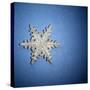 Decorative Snowflake-Sean Justice-Stretched Canvas