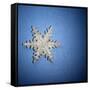 Decorative Snowflake-Sean Justice-Framed Stretched Canvas