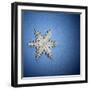 Decorative Snowflake-Sean Justice-Framed Photographic Print