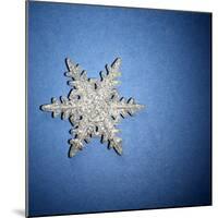 Decorative Snowflake-Sean Justice-Mounted Photographic Print