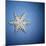 Decorative Snowflake-Sean Justice-Mounted Photographic Print