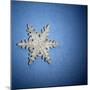 Decorative Snowflake-Sean Justice-Mounted Photographic Print