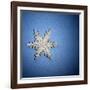 Decorative Snowflake-Sean Justice-Framed Photographic Print