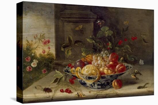 Decorative Still-Life Composition with a Porcelain Bowl, Fruit and Insects-Jan van Kessel the Elder-Stretched Canvas
