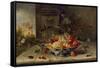 Decorative Still-Life Composition with a Porcelain Bowl, Fruit and Insects-Jan van Kessel the Elder-Framed Stretched Canvas