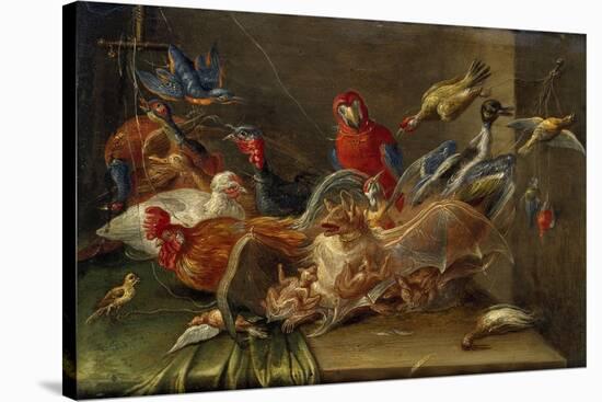 Decorative Still-Life Composition with Birds and Two Bats-Jan van Kessel the Elder-Stretched Canvas