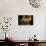 Decorative Table and Chairs on Patio in France-Will Wilkinson-Photographic Print displayed on a wall