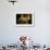 Decorative Table and Chairs on Patio in France-Will Wilkinson-Framed Photographic Print displayed on a wall