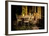 Decorative Table and Chairs on Patio in France-Will Wilkinson-Framed Photographic Print