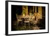 Decorative Table and Chairs on Patio in France-Will Wilkinson-Framed Photographic Print