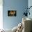 Decorative Table and Chairs on Patio in France-Will Wilkinson-Photographic Print displayed on a wall