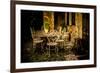 Decorative Table and Chairs on Patio in France-Will Wilkinson-Framed Photographic Print