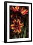 Decorative Tulips I-John Seba-Framed Art Print