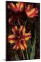 Decorative Tulips I-John Seba-Mounted Art Print