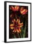 Decorative Tulips I-John Seba-Framed Art Print