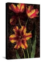 Decorative Tulips I-John Seba-Stretched Canvas