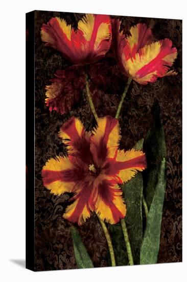 Decorative Tulips I-John Seba-Stretched Canvas