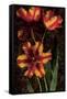 Decorative Tulips I-John Seba-Framed Stretched Canvas