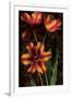 Decorative Tulips I-John Seba-Framed Art Print