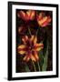 Decorative Tulips I-John Seba-Framed Art Print