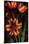 Decorative Tulips I-John Seba-Mounted Art Print
