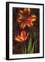 Decorative Tulips II-John Seba-Framed Art Print