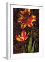 Decorative Tulips II-John Seba-Framed Art Print