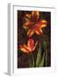 Decorative Tulips II-John Seba-Framed Art Print