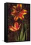 Decorative Tulips II-John Seba-Framed Stretched Canvas