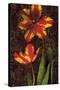 Decorative Tulips II-John Seba-Stretched Canvas