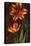 Decorative Tulips II-John Seba-Stretched Canvas