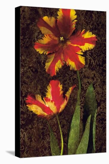 Decorative Tulips II-John Seba-Stretched Canvas