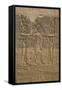 Decorative Wall Reliefs, Temple of Isis, Island of Philae, Aswan, Egypt, North Africa, Africa-Richard Maschmeyer-Framed Stretched Canvas